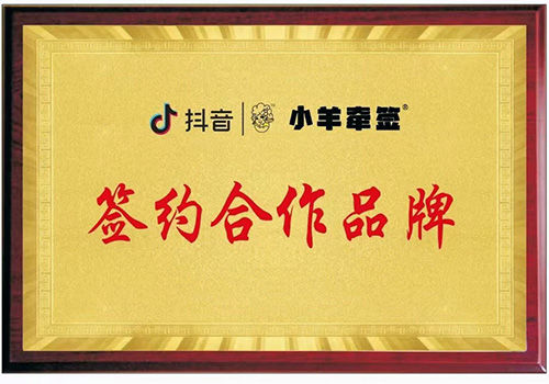 荣誉资质